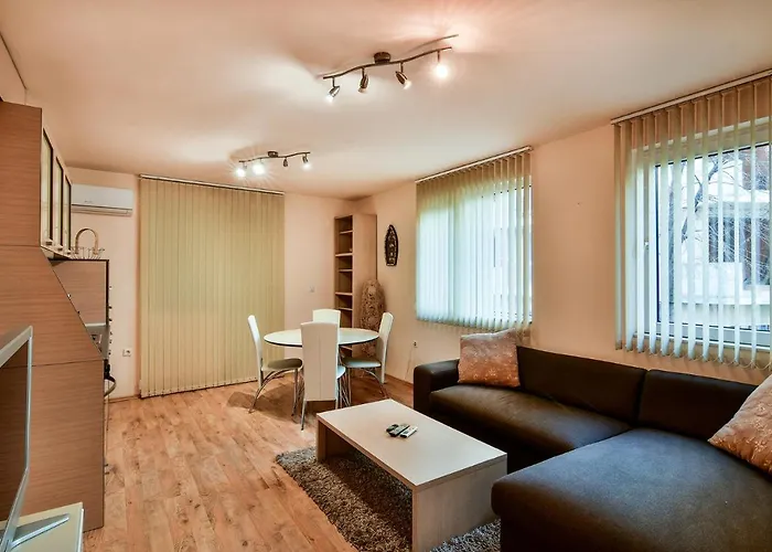 Budget 1br Flat Downtown Apartment *