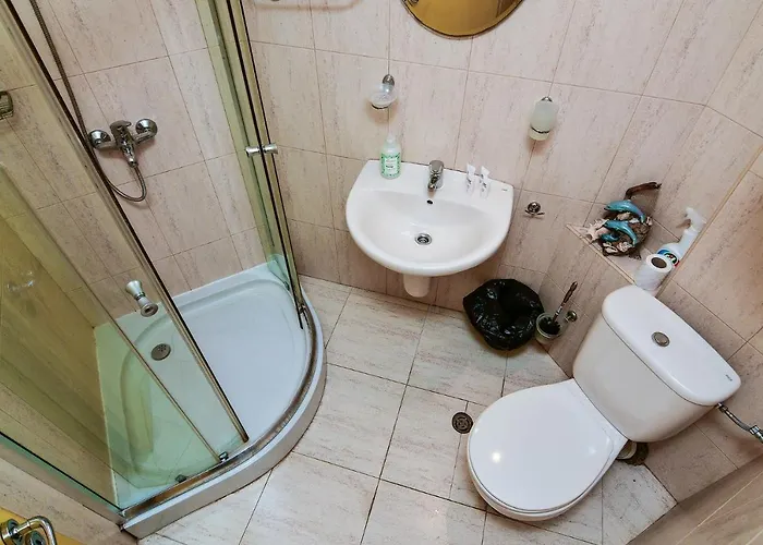 Budget 1br Flat Downtown Apartment *